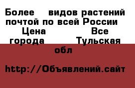 Более200 видов растений почтой по всей России › Цена ­ 100-500 - Все города  »    . Тульская обл.